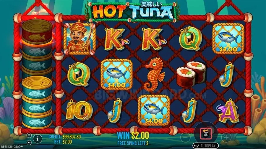 Responsible Gaming with Spinplus